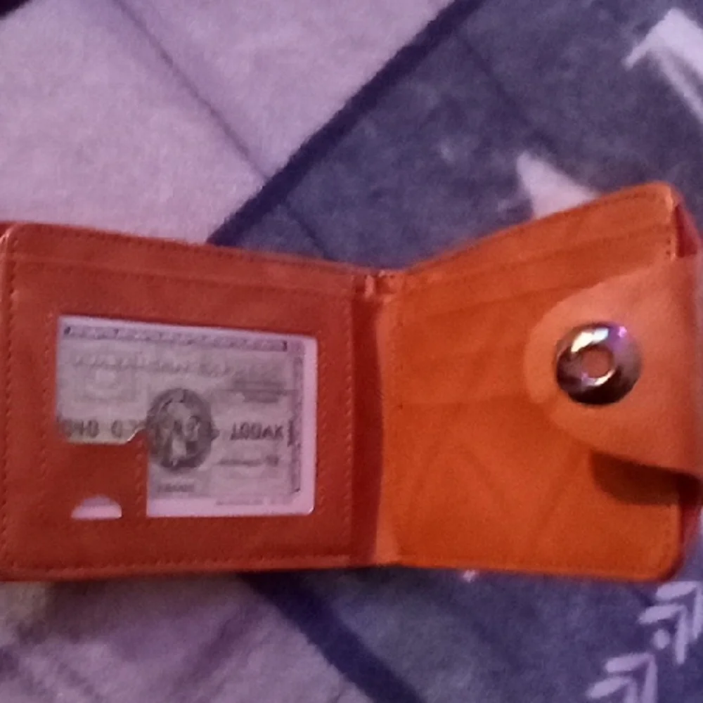 Unique Dollar Print Men's Money Clip